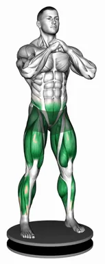 Balance Disk Squat demo