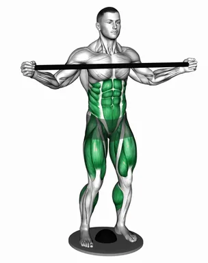 Balance Plate Standing Twist demo