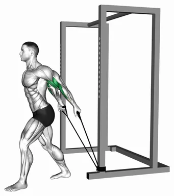 Band 45° Biceps Curl demo