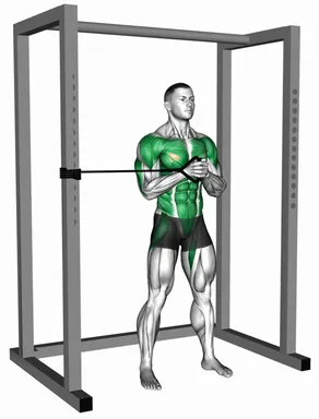 Band Horizontal Pallof Press Twist demo