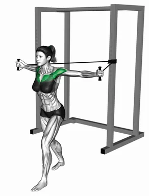밴드 로우 플라이 자세 시연