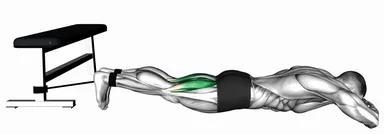Band lying leg curl (Demo 2) demo