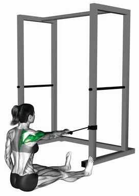 Band One Arm Seated Delt Row demo