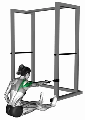 Band One Arm Twisting Seated Delt Row demo