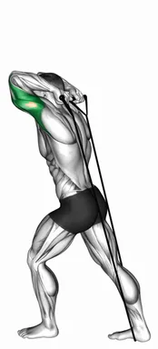 Band Overhead Triceps Extension (VERSION 2) demo