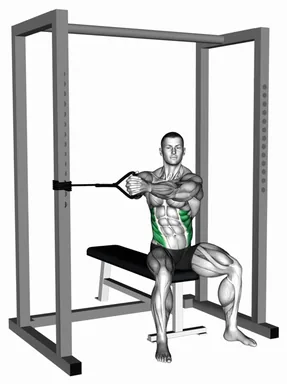 Band Seated Twist demo
