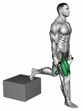 Band Single Leg Split Squat with Low Box demo