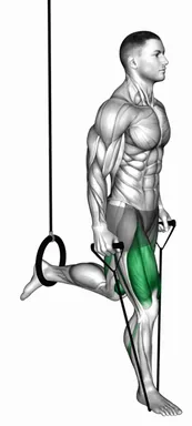 Band Single Leg Split Squat with the Ring demo
