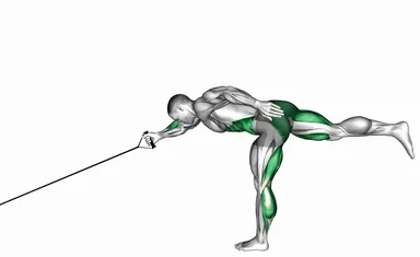 Band Single Stiff Leg Deadlift with Single Arm Row demo