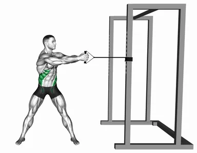 Band Standing Torso Rotation demo