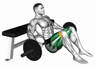 Barbell Banded Hip Thrust demo