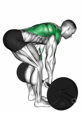 Barbell Bent Over Flexion Row (back) demo