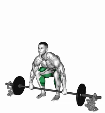 체인 저항 바벨 데드리프트 자세 시연
