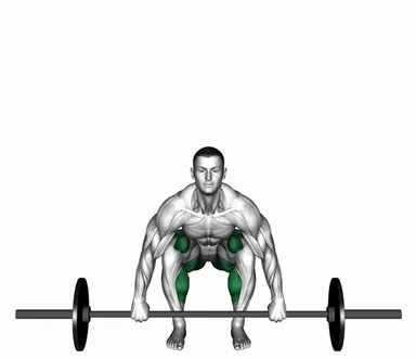 Barbell Deadlift (Front POV) demo