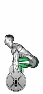 Barbell Deadlift (Side POV) demo