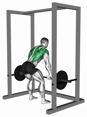 Barbell Deadstop Row with Rack demo