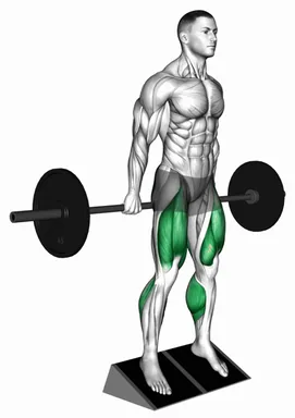 Barbell Elevated Hack Squat demo