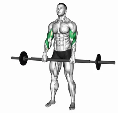 Barbell Fat Bar Reverse Curl demo