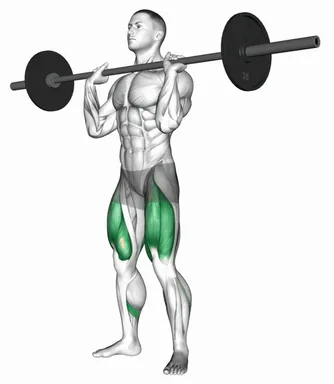 Barbell Front Chest Squat demo