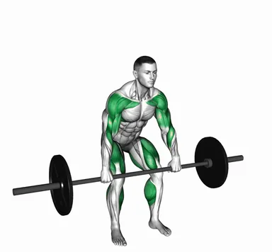 Barbell Hang Power Clean demo