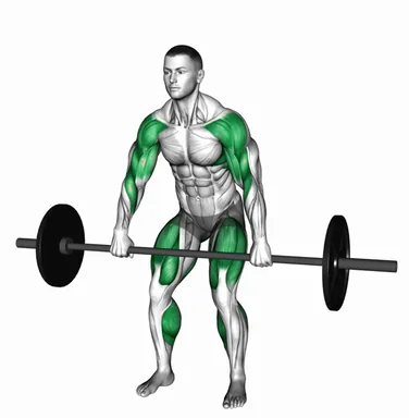 Barbell High Pull demo