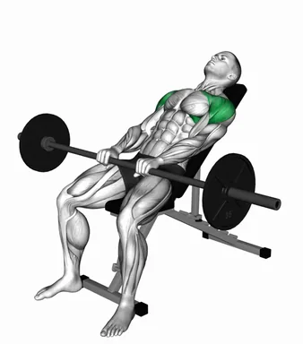 Barbell Incline Pronated Grip Front Raise demo
