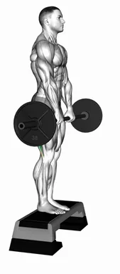 Barbell Jefferson Curl demo