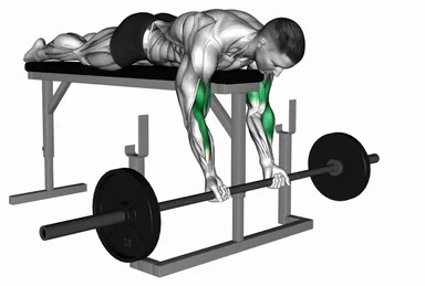 Barbell Lying Biceps Curl demo