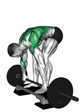 Barbell Pendlay Row from Deficit demo