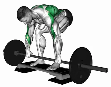 Barbell Pendlay Row from Deficit (VERSION 2) demo