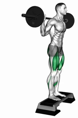 Barbell Rear Lunge (VERSION 2) demo