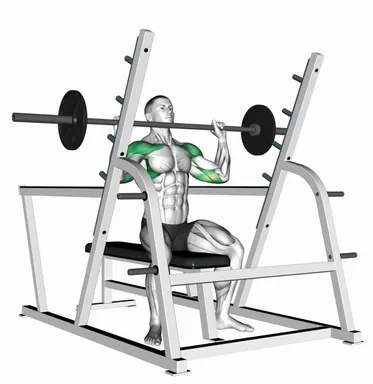 Barbell Seated Military Press (Inside Squat Cage) demo