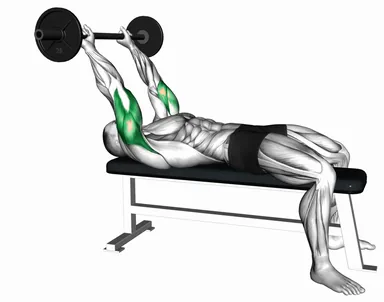 Barbell Skull Crusher (VERSION 2) demo