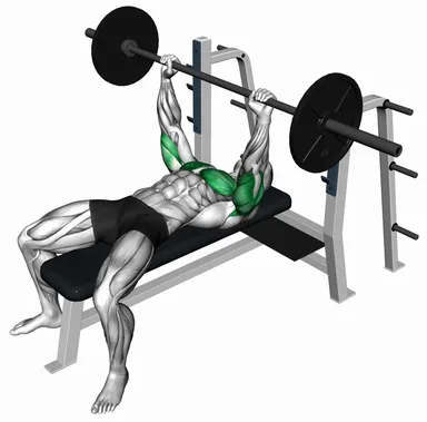 Barbell Spoto Press demo