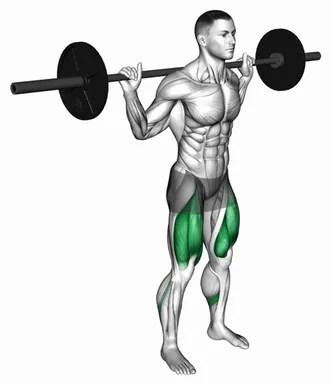 Barbell Squat 2 sec Hold demo