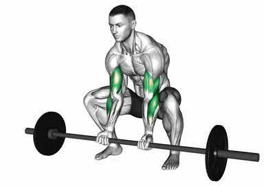 Barbell Squatting Bicep Curl demo