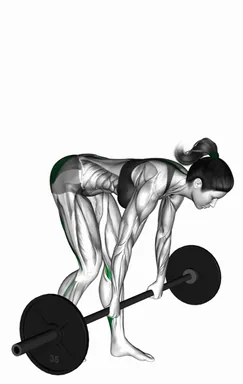 Barbell Staggered Stance Stiff Legged Deadlift demo