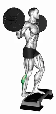 Barbell Standing Single Leg Calf Raise demo