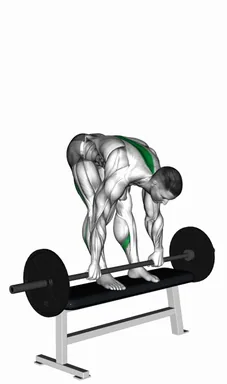 Barbell Stiff Leg Deadlift on Bench demo