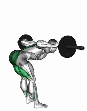 Barbell Stiff Leg Good Morning demo
