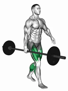 Barbell Suitcase Carry demo