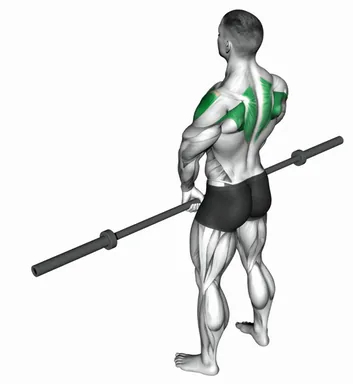 Barbell Upright Row (Demo 2) demo