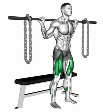Barbell Chain Bench Squat demo