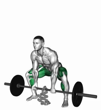 Barbell Weighted Chains Sumo Deadlift demo