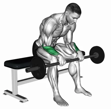 Barbell Wrist Reverse Curl (VERSION 2) demo