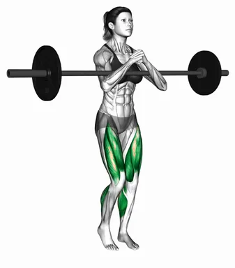 Barbell Zercher Carry (Demo 2) demo