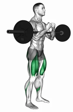Barbell Zercher Squat Hold demo