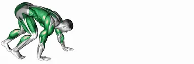 Bear Crawl demo
