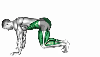 Bear Plank Floating Leg Extension demo