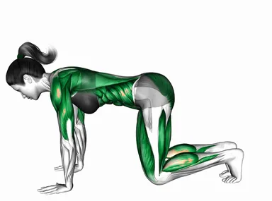 베어 스쿼트 자세 시연